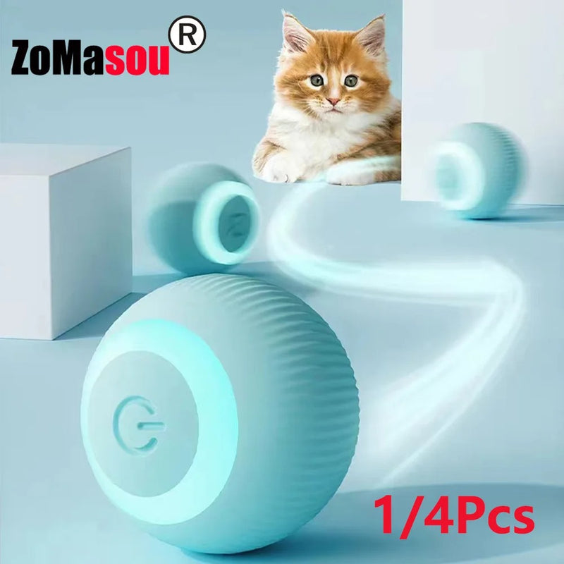 PetSmart Ball